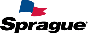 Vigilant Logo