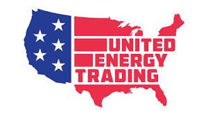 Vigilant Logo