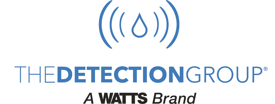 The Detection Group